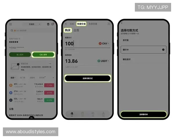 币游平台网页版登录流程详解及账号安全保护措施
